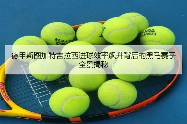 德甲斯图加特吉拉西进球效率飙升背后的黑马赛季全景揭秘 | leyu